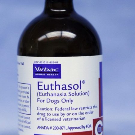 Nembutal Pentobarbital Sodium (100 ml stérile par voie orale)